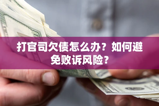北京打官司欠债怎么办？如何避免败诉风险？