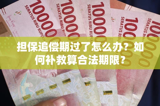 北京担保追偿期过了怎么办？如何补救算合法期限？