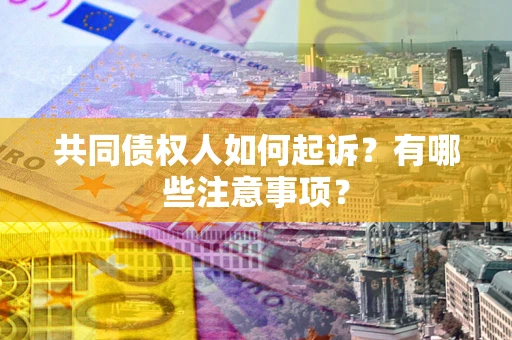 北京共同债权人如何起诉？有哪些注意事项？